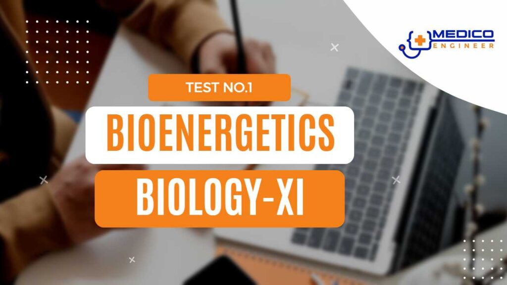 Bioenergetics Test 1 Biology XI