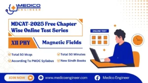 XII Physics Magnetic Fields Online Test